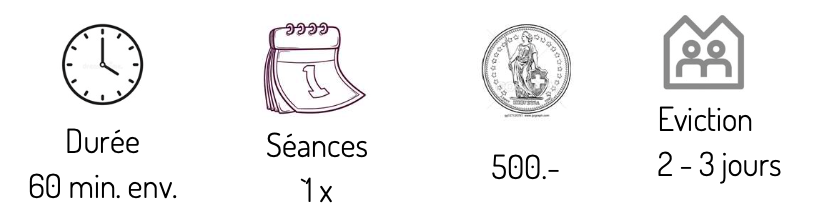 Fils résorbables du Philippe Martin chez Rive
